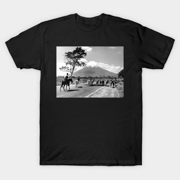 Vintage Photo of Cattle Drive past San Miguel Volcano T-Shirt by In Memory of Jerry Frank